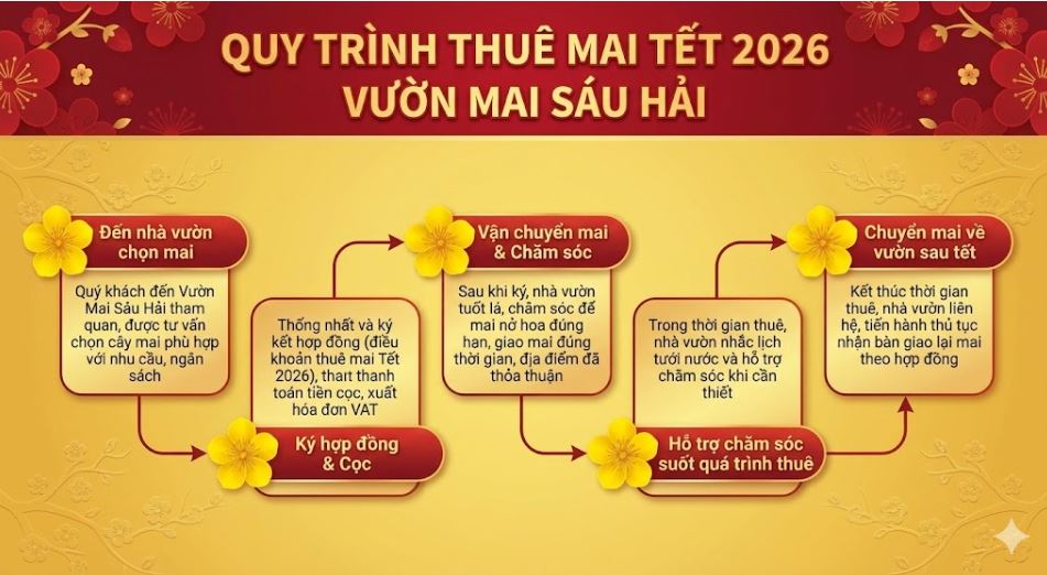quy trình thuê mai tết 2026