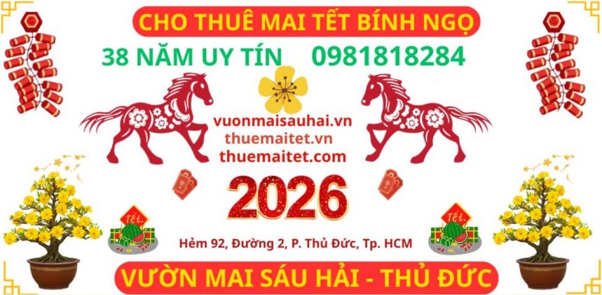 thue-mai-tet-2026