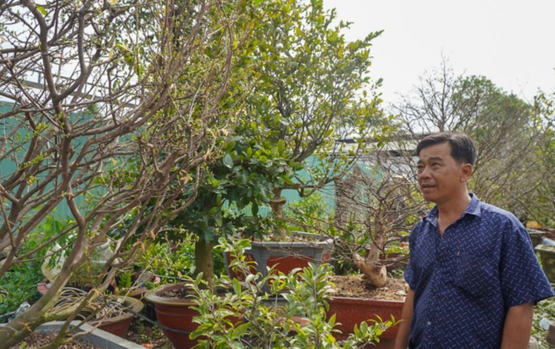 thuê mai tết thủ đức